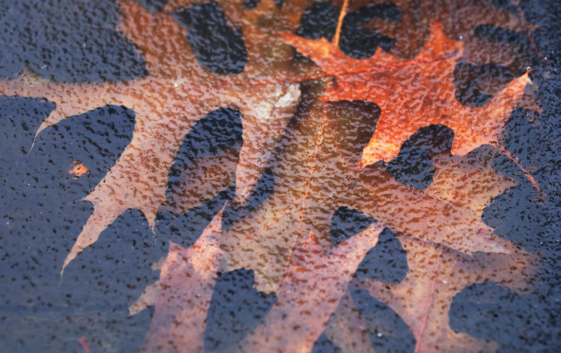 Icy Weather